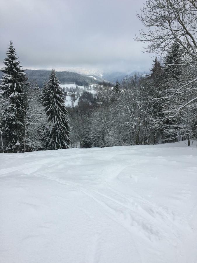 Penzion U Rybnika Marianska ภายนอก รูปภาพ